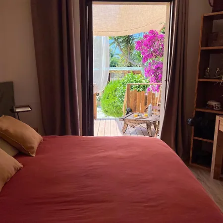 Canopee - Maison Exotique *
