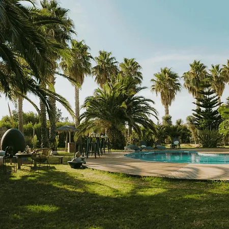 Canopee - Maison Exotique