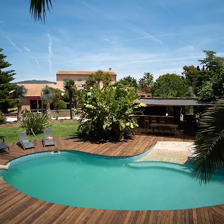 Canopee - Maison Exotique