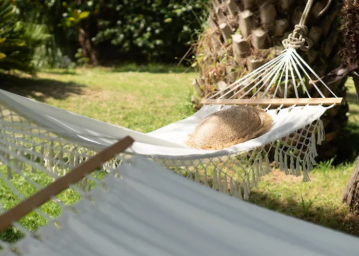 Affittacamere Avec Piscine Quatre Murs Et Un Toit Hyères